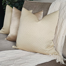 Load image into Gallery viewer, Moreton-gold cushion cover